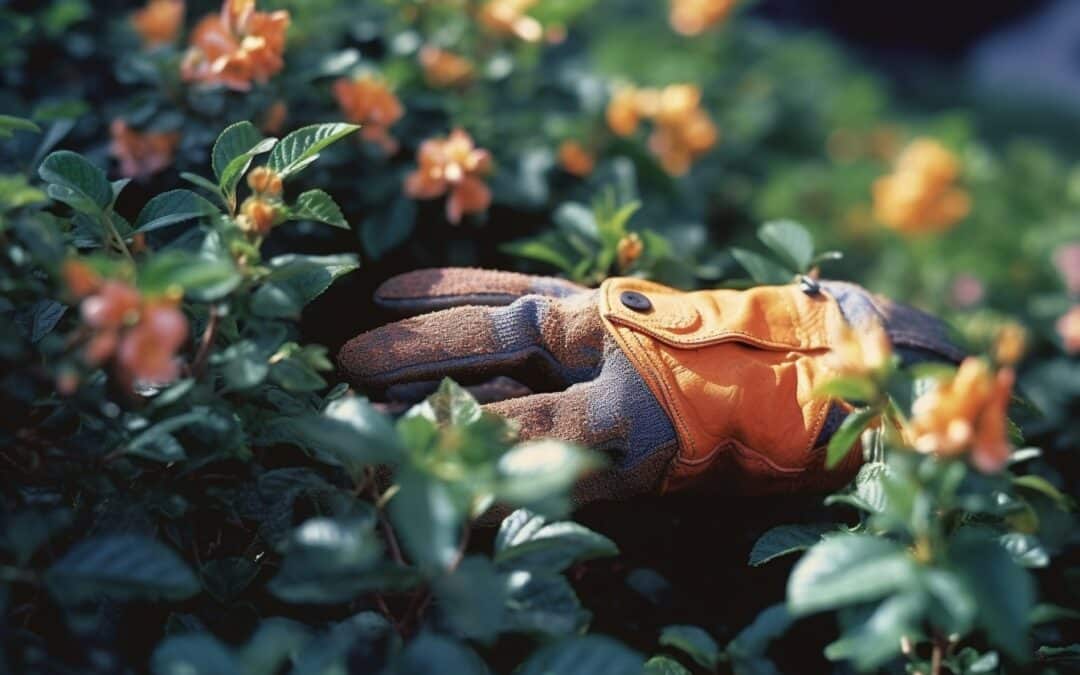 gants de jardinage