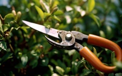 Le sécateur de jardin : l’outil indispensable pour des plantes bien entretenues