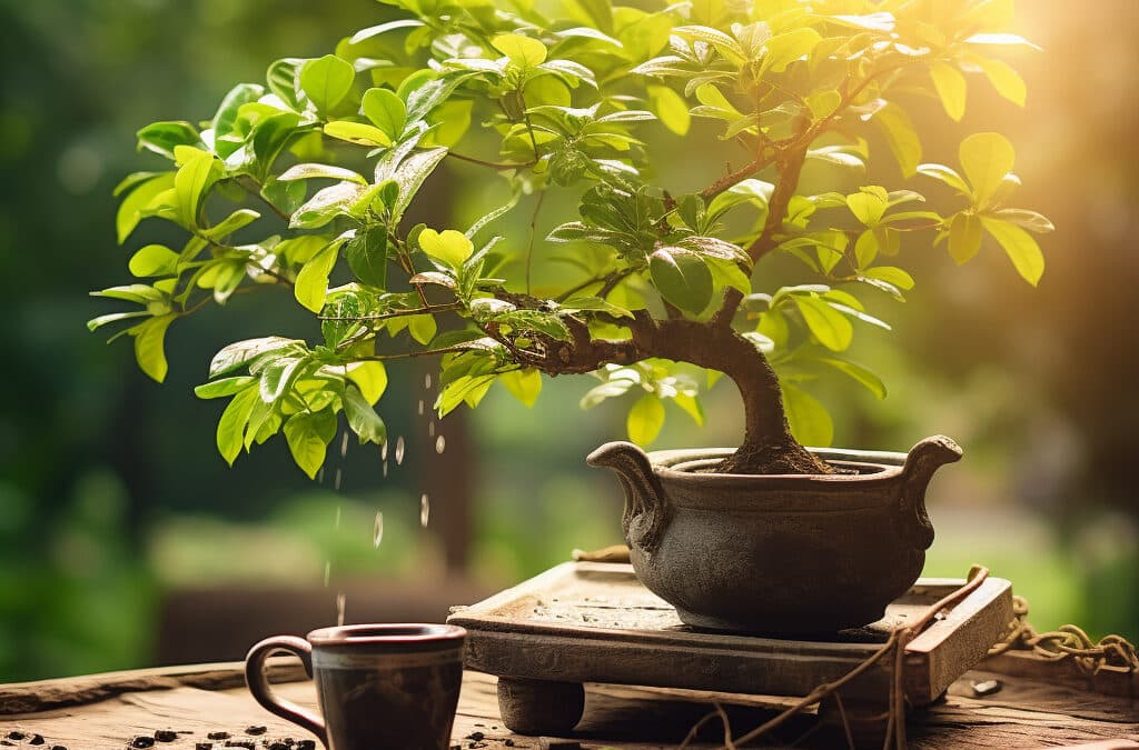 Bonsaï : Conseils d’Arrosage pour Maintenir Votre Plante en Parfaite Santé