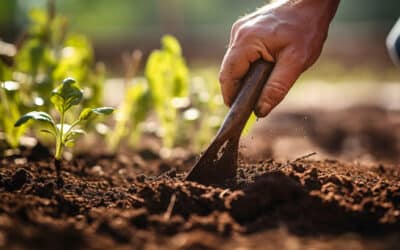 Grelinette : Découvrez ses Avantages pour Aérer le Sol de Votre Jardin