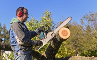 Les astuces pour couper le bois sans effort et en toute sécurité