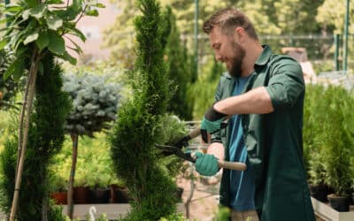 Créez un jardin d’exception avec l’aide d’un paysagiste dans les Alpes-Maritimes