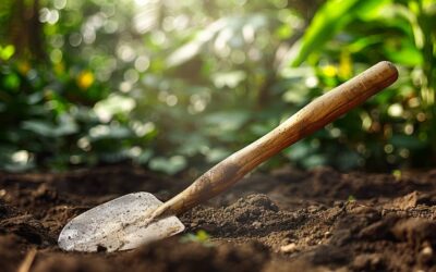 Houe de jardin : Préparez vos sols pour des plantations réussies