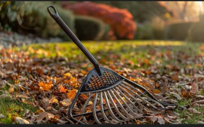 Râteau à feuilles : Gardez votre jardin propre en toute saison
