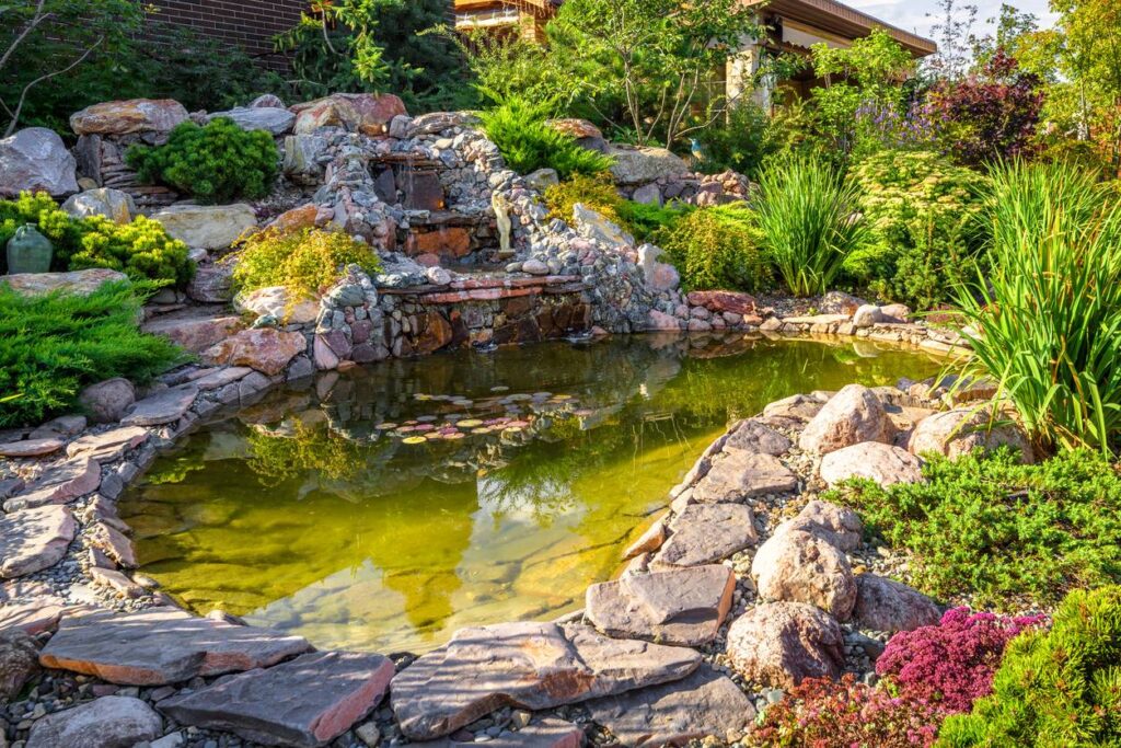 bassin d'extérieur dans jardin