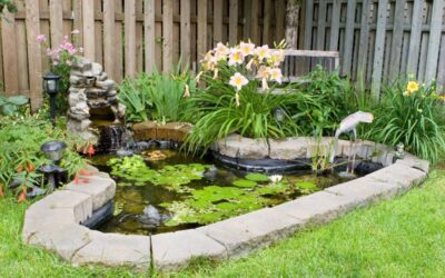 Comment choisir le matériel de son bassin d’extérieur ?