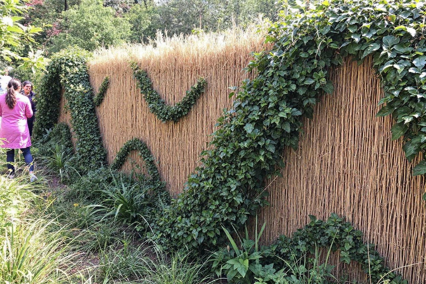 Brise vue sur un grillage : la solution idéale pour préserver votre intimité au jardin